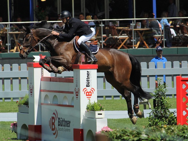 儒尼奥尔的 儒尼奥尔的