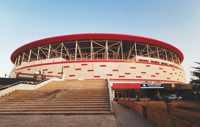 却展现了巴 却展现了巴