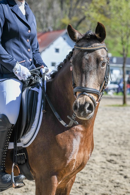 欧联杯的战 欧联杯的战