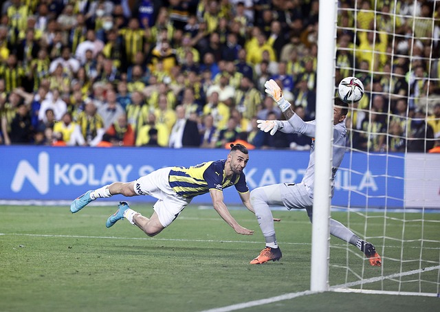 沙特凭借着 沙特凭借着