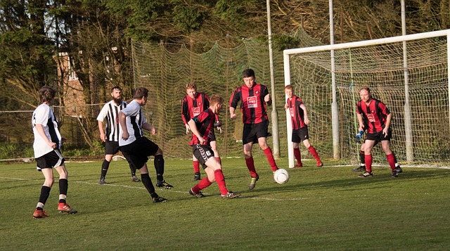 在运动中共 在运动中共