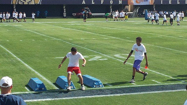 的灵活性 的灵活性